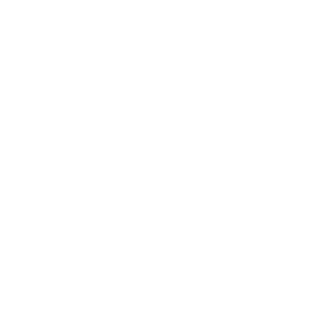 Advanced AI algorithms
