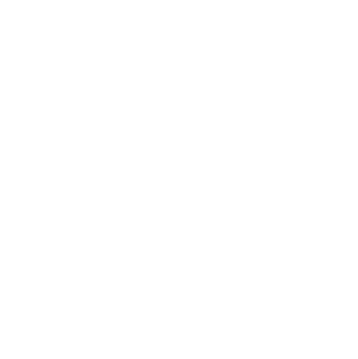 Driver behavior tracking white