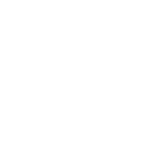 Government