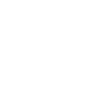 Government