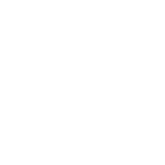 Healthcare System white