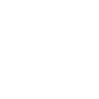 Infrared cameras, up to 80m  vision in darkness