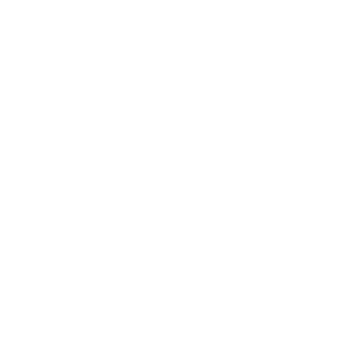 Reports and statistics