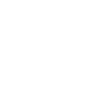 Safety Monitoring