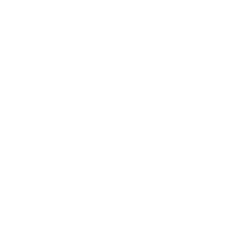 Schools and Universities