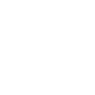 Schools and Universities