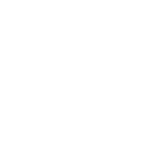 Audio + Video Monitoring  with a single device