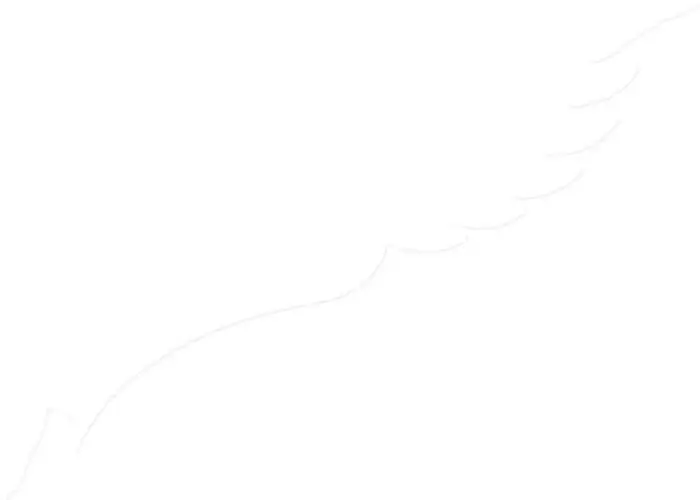 buraq-about-bg-1