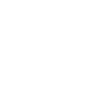 Overspeed Alerts