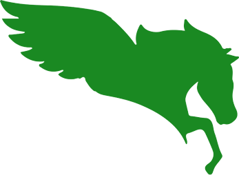 pegasus wing shadow