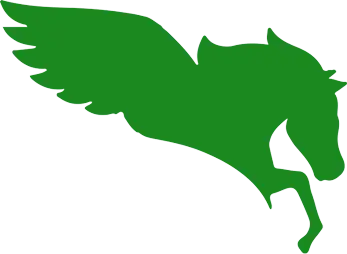 pegasus wing shadow