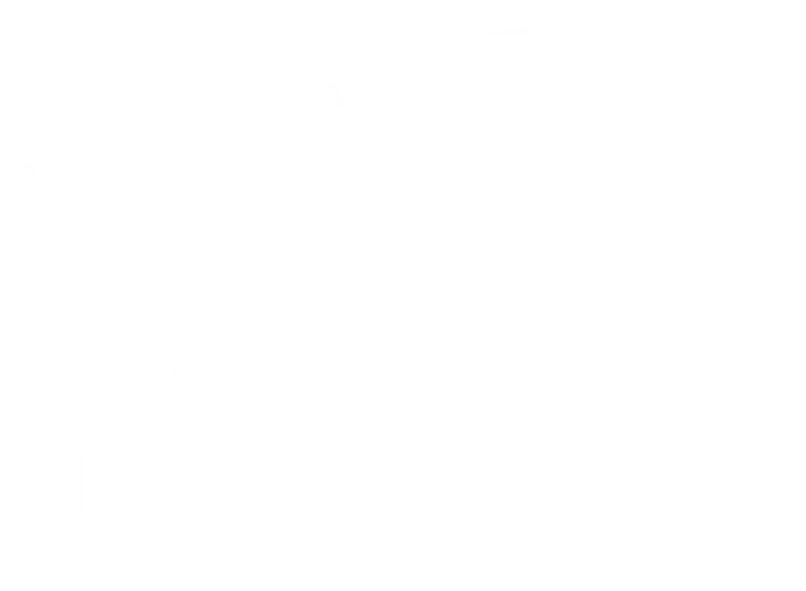 pegasus-white