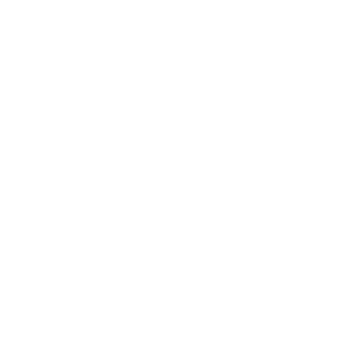 Ridesharing Companies