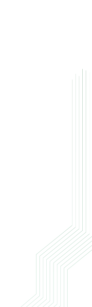 smart taxi brief lines bg