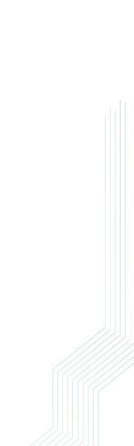 smart taxi brief lines bg