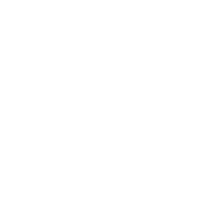 Vehicle and Fuel Status